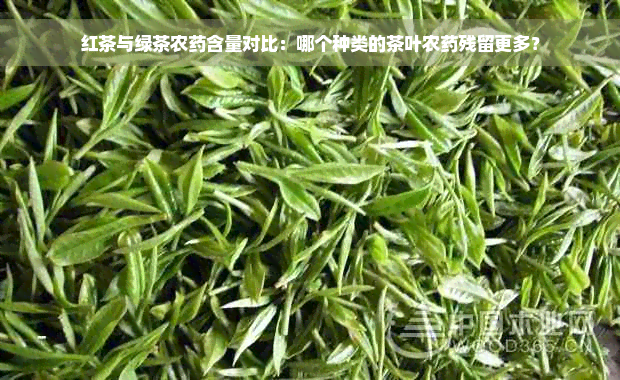 红茶与绿茶农药含量对比：哪个种类的茶叶农药残留更多？