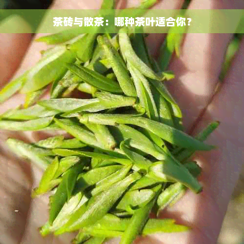 茶砖与散茶：哪种茶叶适合你？