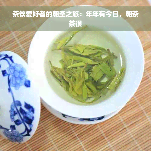 茶饮爱好者的朝圣之旅：年年有今日，朝茶茶很