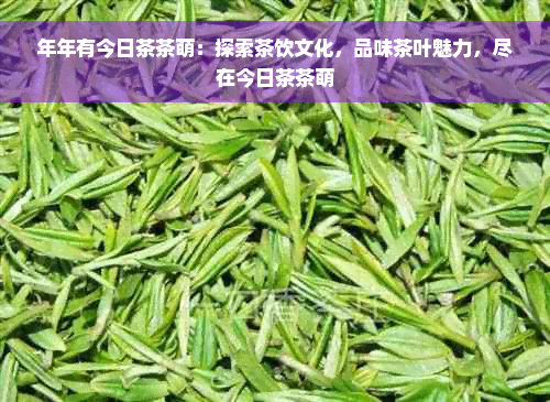 年年有今日茶茶萌：探索茶饮文化，品味茶叶魅力，尽在今日茶茶萌