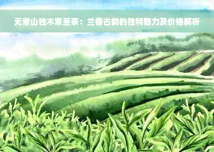 无量山独木紫茎茶：兰香古韵的独特魅力及价格解析