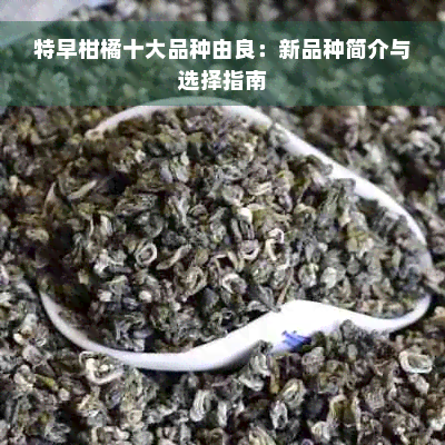 特早柑橘十大品种由良：新品种简介与选择指南