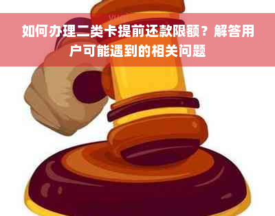 如何办理二类卡提前还款限额？解答用户可能遇到的相关问题