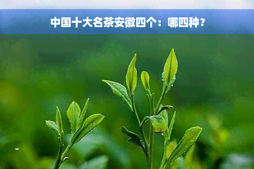 中国十大名茶安徽四个：哪四种？