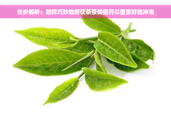 分步解析：如何巧妙地将茯茶茶砖拆开以便更好地冲泡