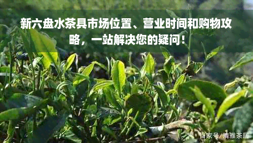 新六盘水茶具市场位置、营业时间和购物攻略，一站解决您的疑问！