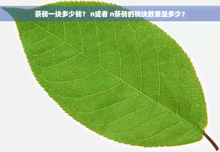 茶砖一块多少砖？ n或者 n茶砖的砖块数量是多少？