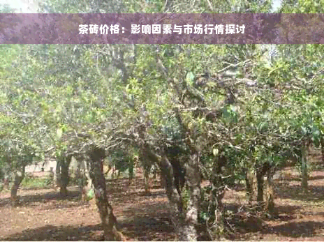 茶砖价格：影响因素与市场行情探讨