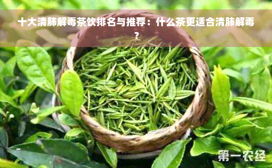 十大清肺解毒茶饮排名与推荐：什么茶更适合清肺解毒？