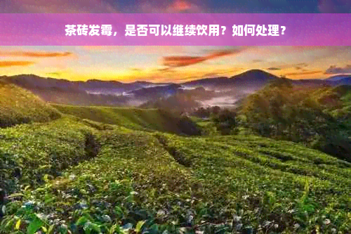 茶砖发霉，是否可以继续饮用？如何处理？