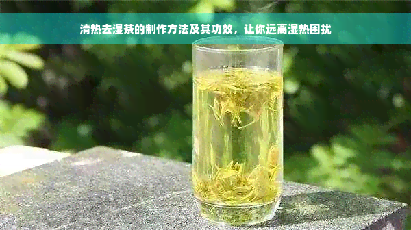 清热去湿茶的制作方法及其功效，让你远离湿热困扰