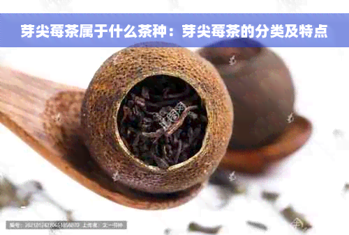 芽尖莓茶属于什么茶种：芽尖莓茶的分类及特点