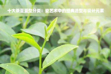 十大茶壶壶型分类：瓷艺术中的经典造型与设计元素