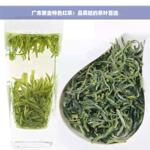 广东紫金特色红茶：品质越的茶叶首选