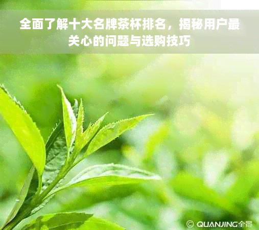 全面了解十大名牌茶杯排名，揭秘用户最关心的问题与选购技巧