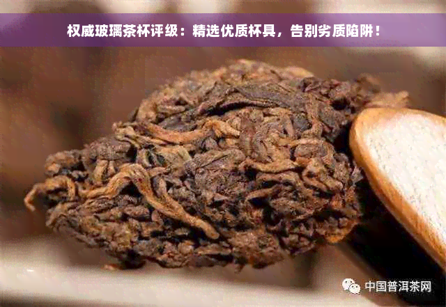 权威玻璃茶杯评级：精选优质杯具，告别劣质陷阱！