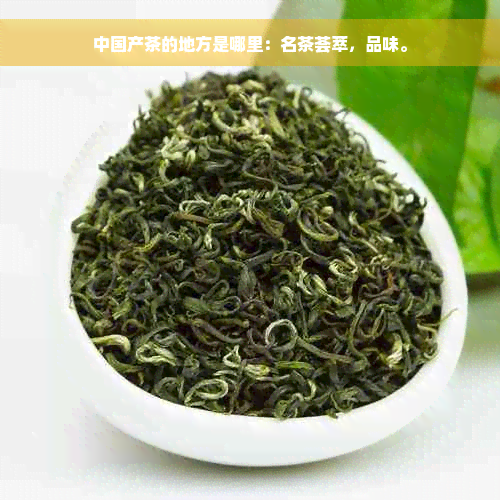 中国产茶的地方是哪里：名茶荟萃，品味。