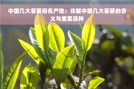 中国几大茗茶排名产地：详解中国几大茗茶的含义与重要品种