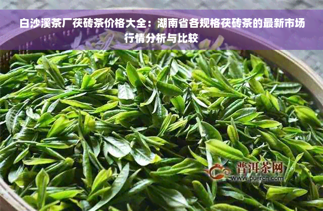 白沙溪茶厂茯砖茶价格大全：湖南省各规格茯砖茶的最新市场行情分析与比较