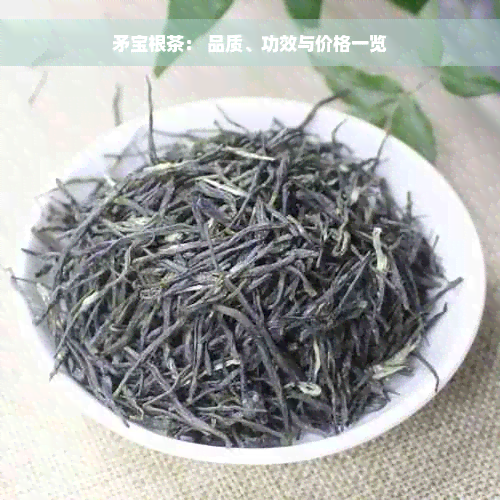 矛宝根茶： 品质、功效与价格一览