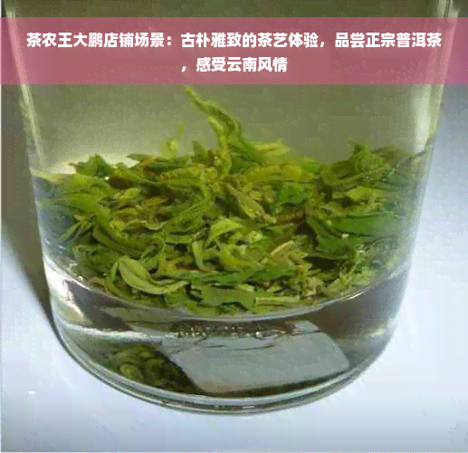 茶农王大鹏店铺场景：古朴雅致的茶艺体验，品尝正宗普洱茶，感受云南风情