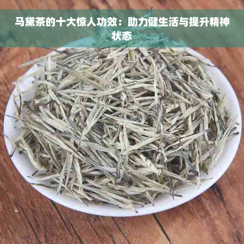 马黛茶的十大惊人功效：助力健生活与提升精神状态