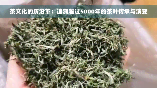 茶文化的历沿革：追溯超过5000年的茶叶传承与演变