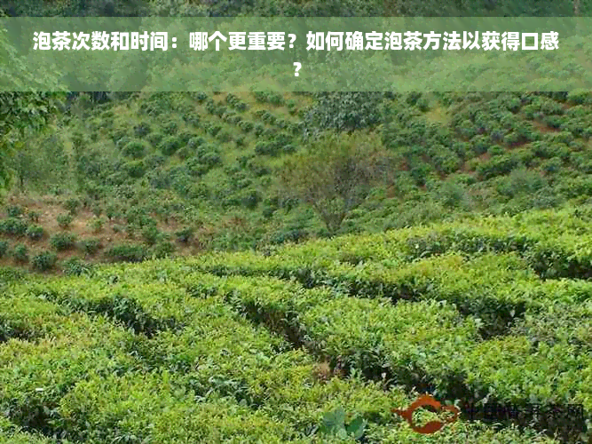 泡茶次数和时间：哪个更重要？如何确定泡茶方法以获得口感？