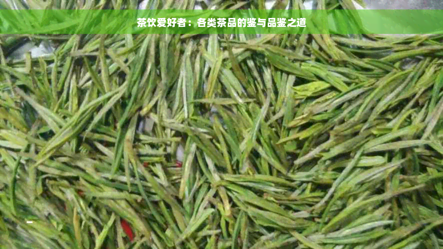 茶饮爱好者：各类茶品的鉴与品鉴之道