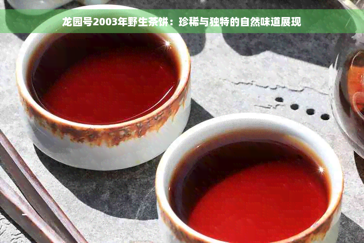 龙园号2003年野生茶饼：珍稀与独特的自然味道展现