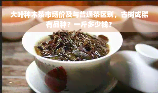 大叶种木茶市场价及与普通茶区别，古树或稀有品种？一斤多少钱？