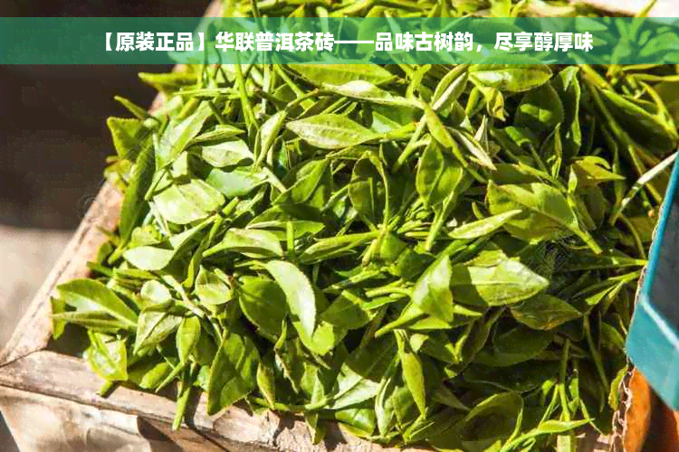 【原装正品】华联普洱茶砖——品味古树韵，尽享醇厚味