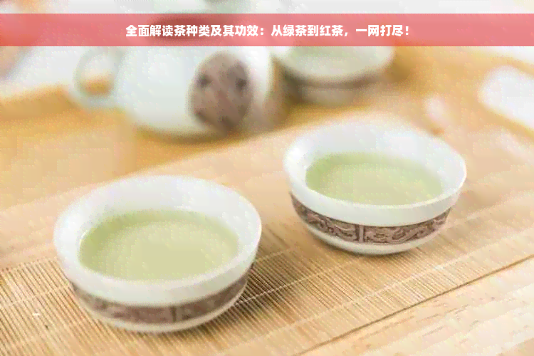 全面解读茶种类及其功效：从绿茶到红茶，一网打尽！