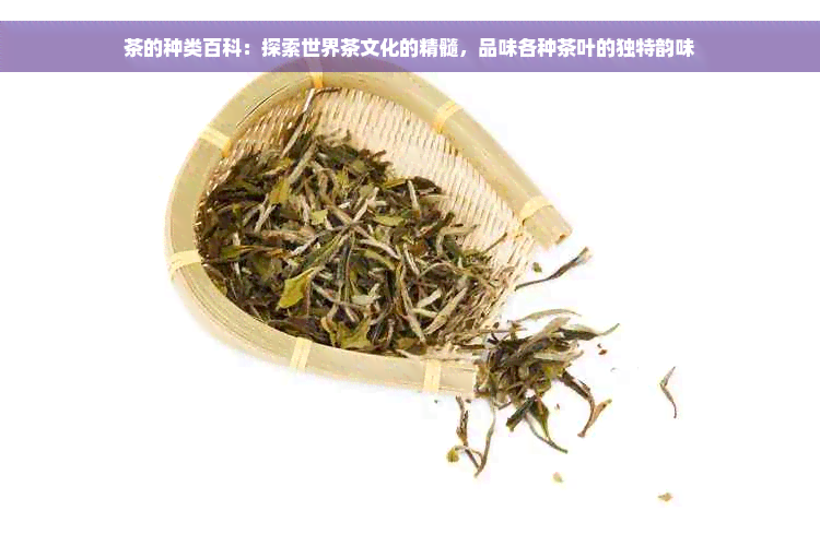 茶的种类百科：探索世界茶文化的精髓，品味各种茶叶的独特韵味