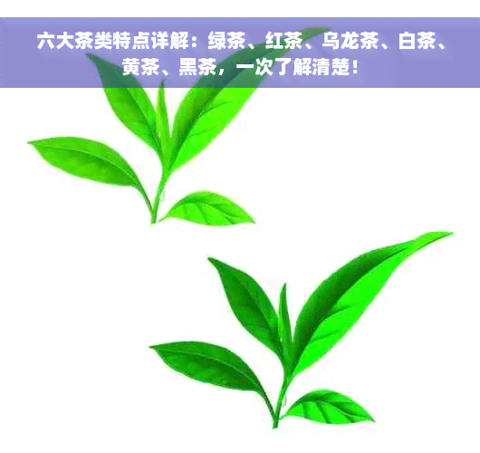 六大茶类特点详解：绿茶、红茶、乌龙茶、白茶、黄茶、黑茶，一次了解清楚！