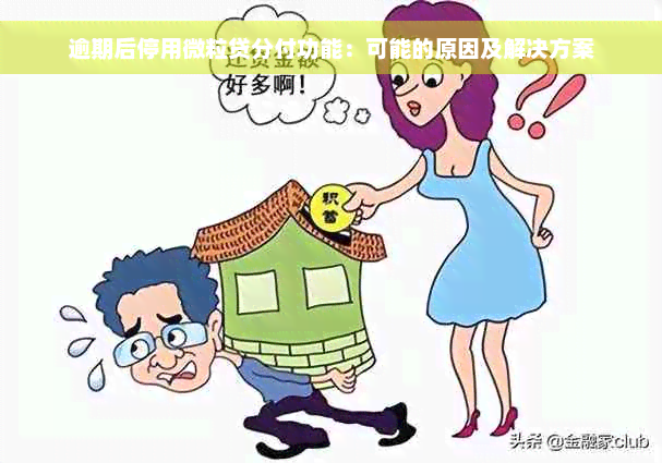 逾期后停用微粒贷分付功能：可能的原因及解决方案