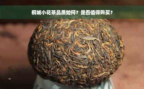 桐城小花茶品质如何？是否值得购买？