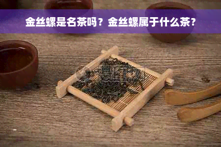 金丝螺是名茶吗？金丝螺属于什么茶？