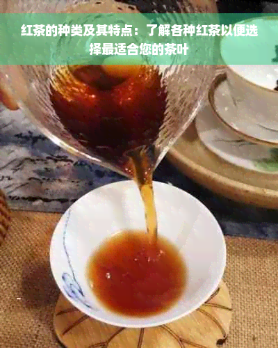 红茶的种类及其特点：了解各种红茶以便选择最适合您的茶叶