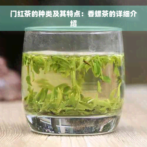 门红茶的种类及其特点：香螺茶的详细介绍