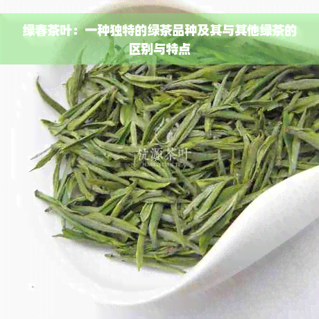 绿春茶叶：一种独特的绿茶品种及其与其他绿茶的区别与特点