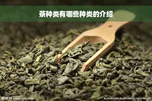 茶种类有哪些种类的介绍