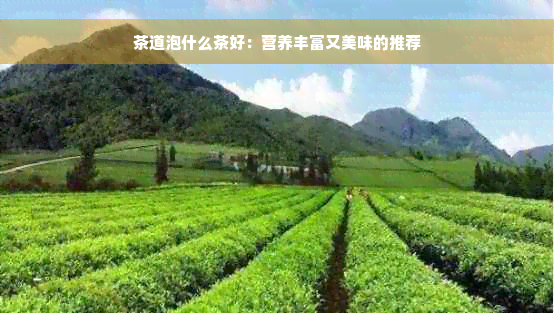 茶道泡什么茶好：营养丰富又美味的推荐