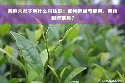 茶道六君子用什么材质好：如何选择与使用，包括哪些茶具？