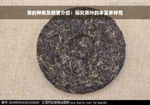 茶的种类及数量介绍：探究茶叶的丰富多样性