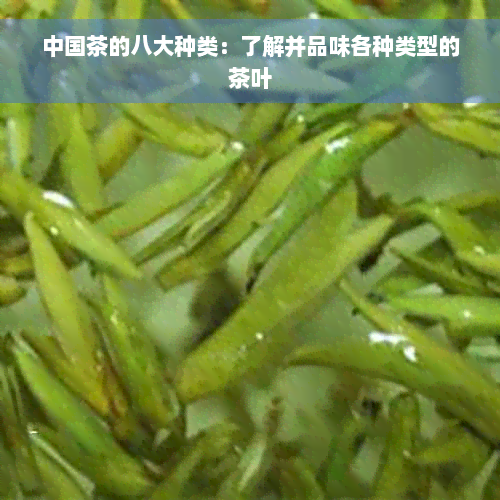 中国茶的八大种类：了解并品味各种类型的茶叶