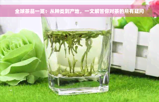 全球茶品一览：从种类到产地，一文解答你对茶的所有疑问