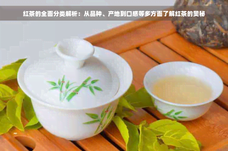 红茶的全面分类解析：从品种、产地到口感等多方面了解红茶的奥秘