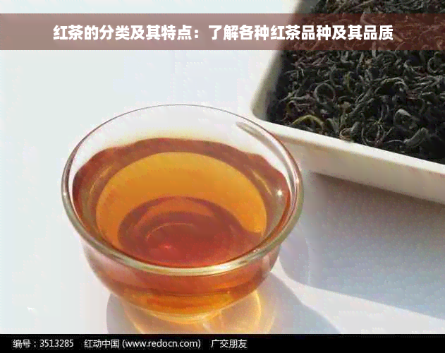 红茶的分类及其特点：了解各种红茶品种及其品质