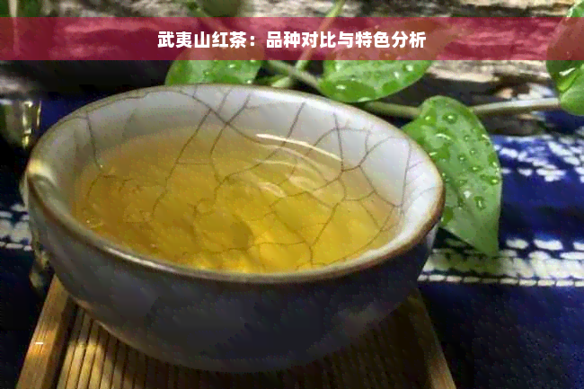 武夷山红茶：品种对比与特色分析